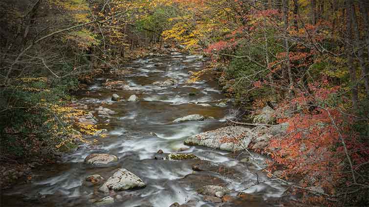 Little River Tennessee Fly Fishing