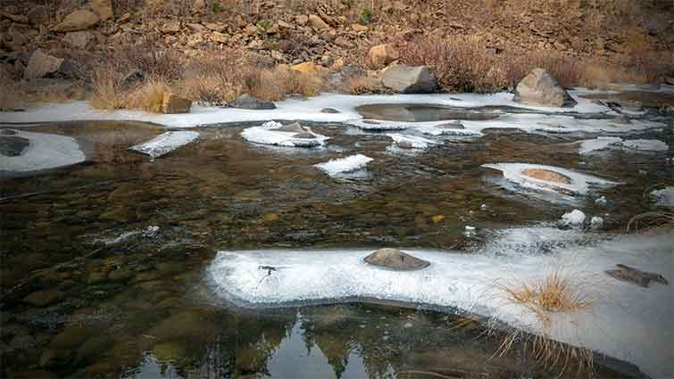 Little Truckee River Reno Nevada Fly Fishing