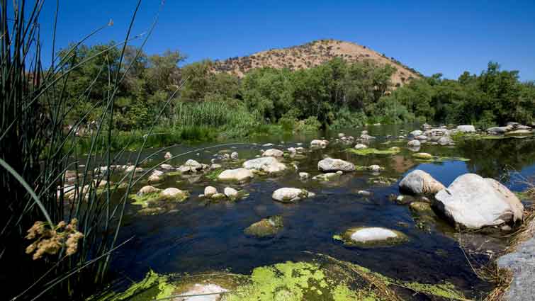 Los Angelos River Fly Fishing Southern California