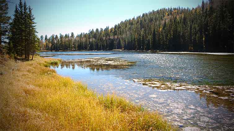 Lower Barker Reservoir Utah Fly Fishing