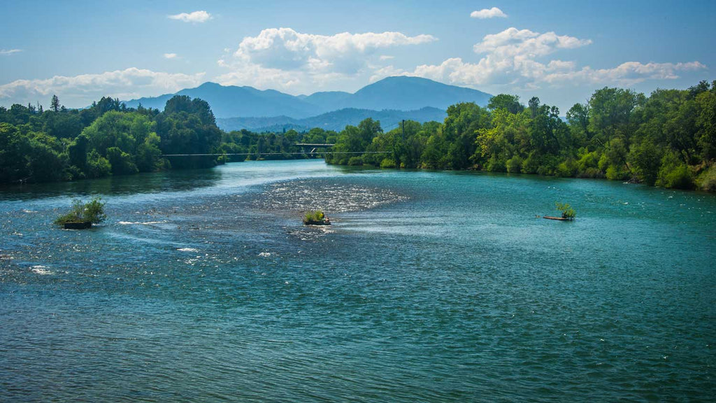 Lower Sacramento River Redington California