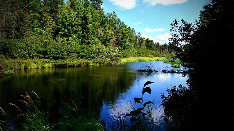 Lower Wisconsin River Wisconsin Fly Fishing