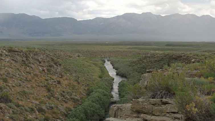 Mammoth Creek Fly Fishing