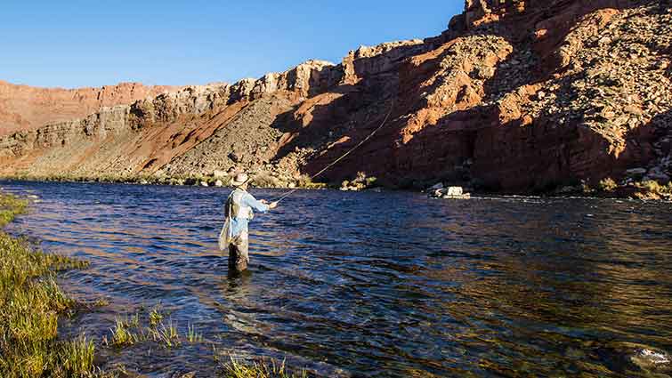 Man Fly Fishing in Lee's Ferry Arizon