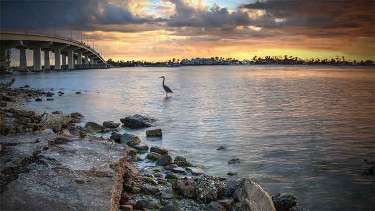 Marco Island Florida Fly Fishing