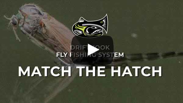 Match the Hatch Video