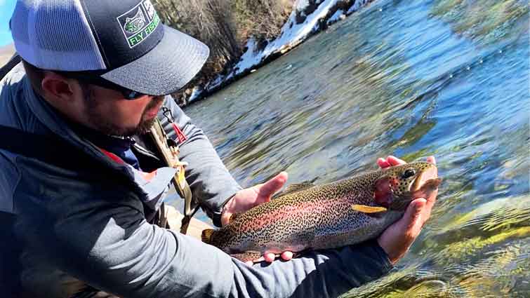 Matthew Bernhardt holding large Rainbow Trout in River