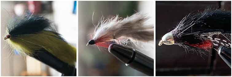 Melton Hill Reservoir Tennessee Fly Fishing Flies