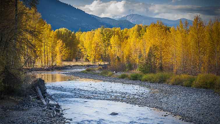 Methow River Washington Fly Fishing