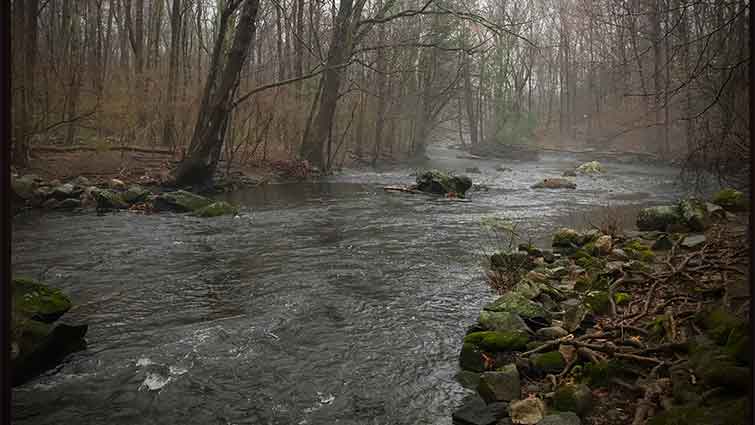 Connecticut Fly Angler: Steak and Eggs, and Sewer Trout