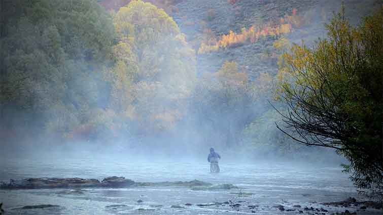 Middle Provo Utah Fly Fishing