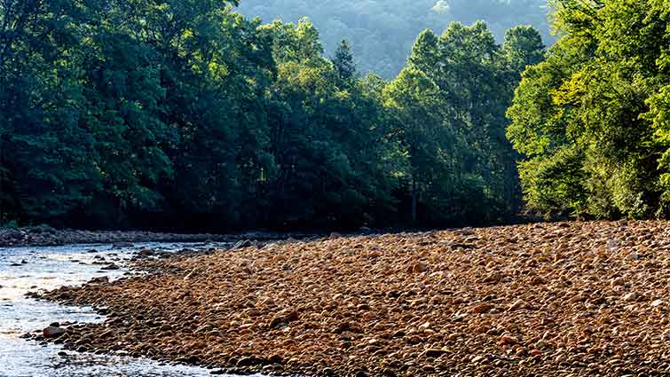 Milligan Creek West Virginia Fly Fishing