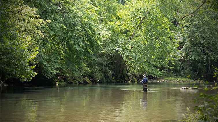 Top 16 Places to Fly Fish in Kansas – And What Flies to Use
