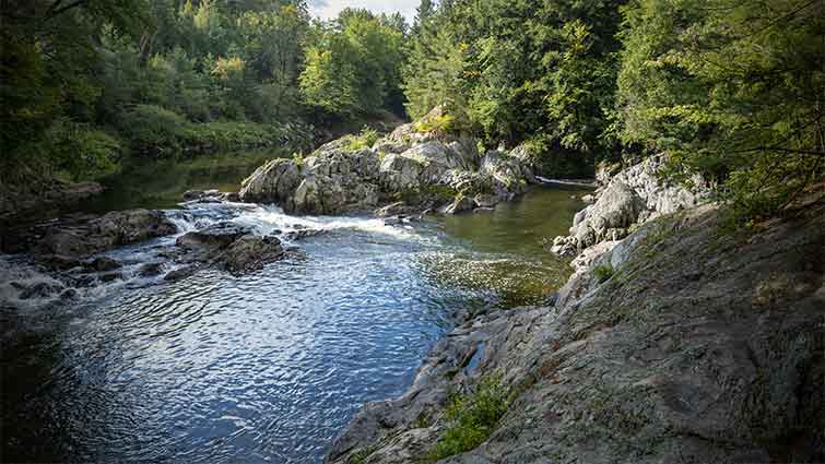 Missisquoi River Vermont Fly Fishing