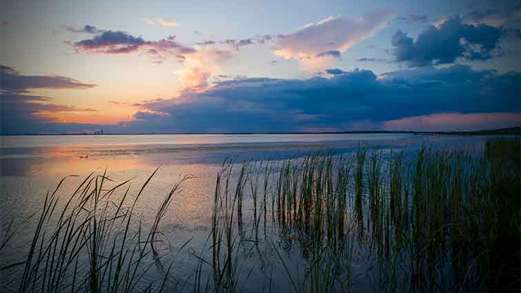 Mobile Bay Alabama Fly Fishing