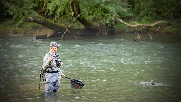 Mossy Creek Virginia