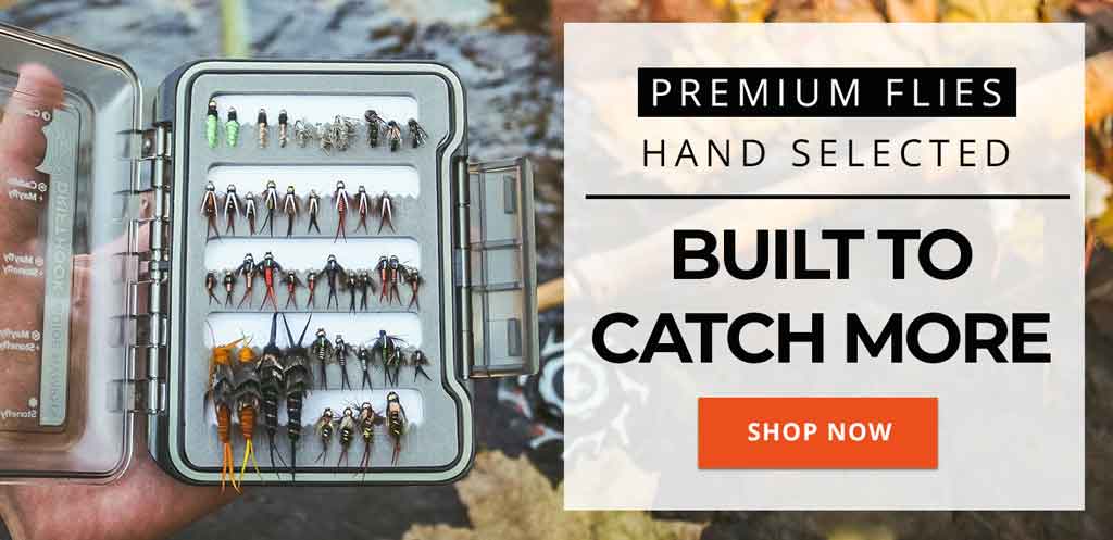 best fly fishing flies kits