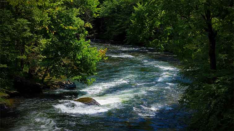 Nantahala River North Carolina Fly Fishing