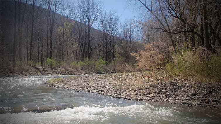 Naples Creek New York Fly Fishing 