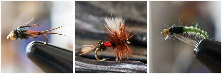 Nestucca River Oregon Fly Fishing Flies 