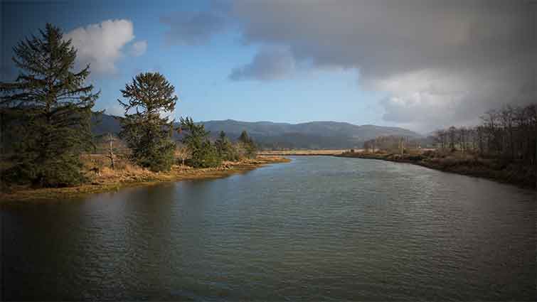 Nestucca River Oregon Fly Fishing