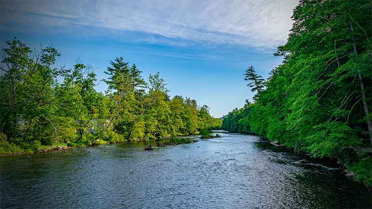 Neversink River New York Fly Fishing