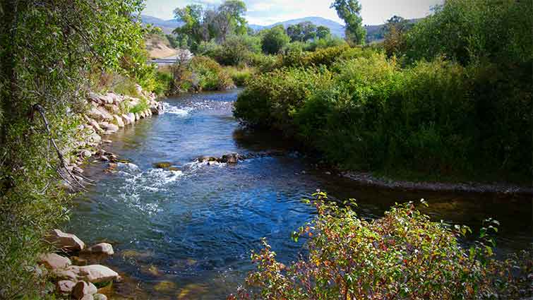 Ogden River Utah Fly Fishing