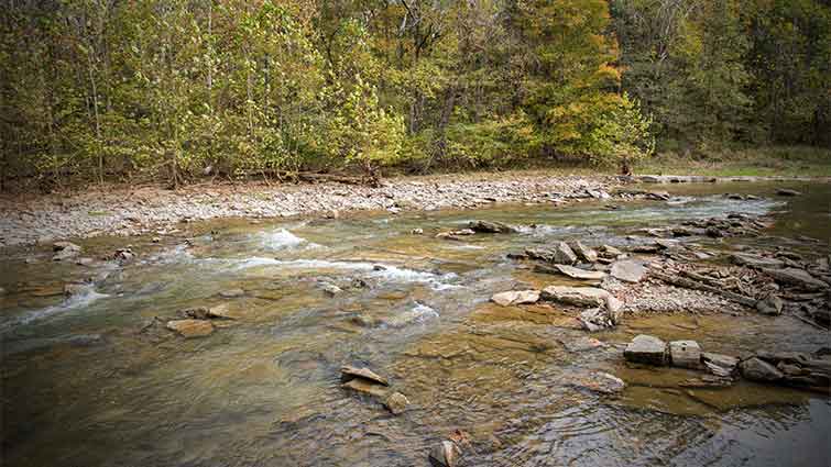 Otter Creek Kentucky Fly Fishing