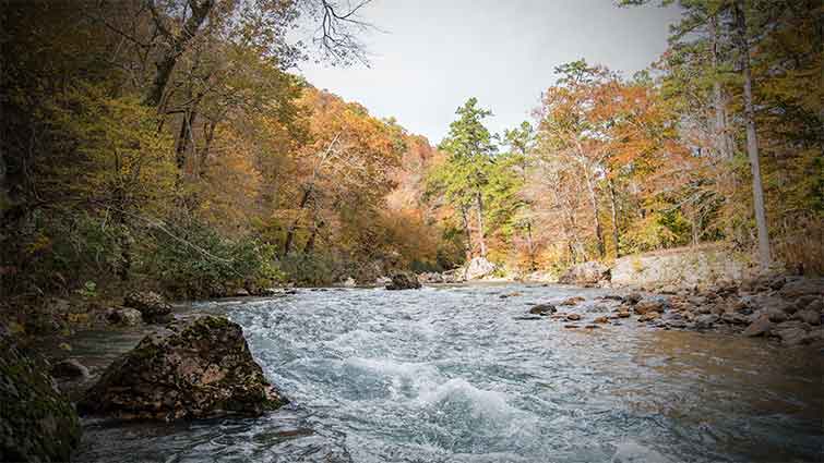 Ouachita River Tailwater Arkansas Fly Fishing