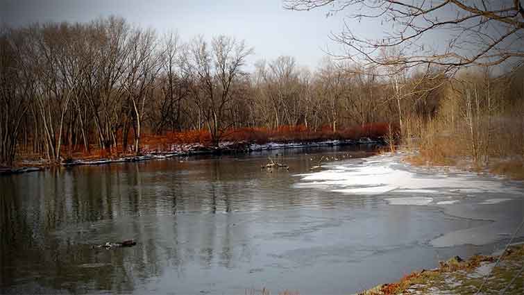 Owego Creek New York Fly Fishing 