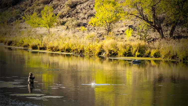 Owyhee River Oregon Fly Fishing