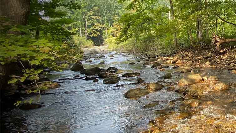 POMPERAUG RIVER Connecticut Fly Fishing