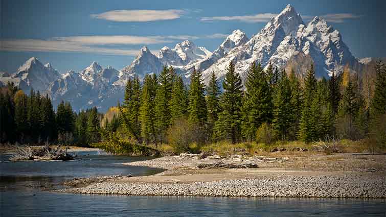 Pacific Creek Wyoming Fly Fishing