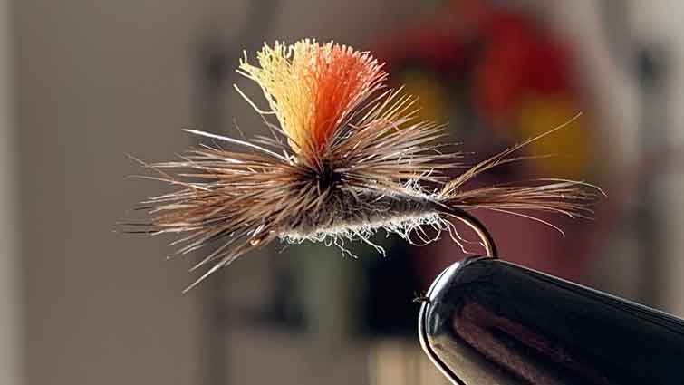 Best Size Dry Flies for Catching Large Trout