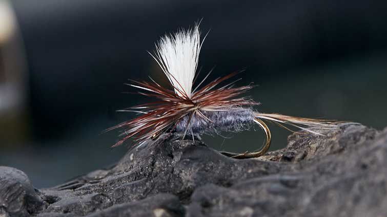 Trout Dry Flies - Patterns To Match Naturals For Fly Fishing