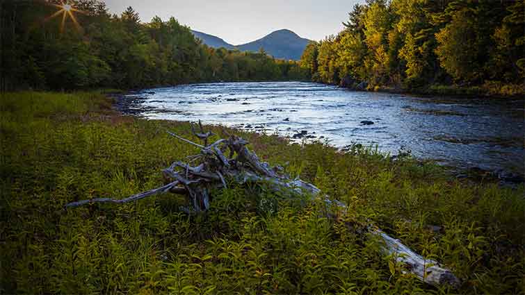 Penobscot River Maine Fly Fishing