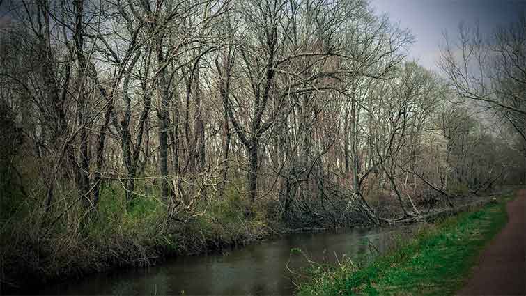 Pequest River New Jersey Fly Fishing