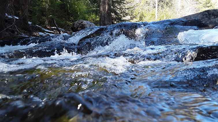 Phillips Brook New Hampshire Fly Fishing