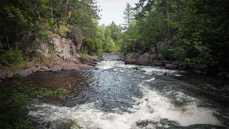 Pike River Wisconsin Fly Fishing