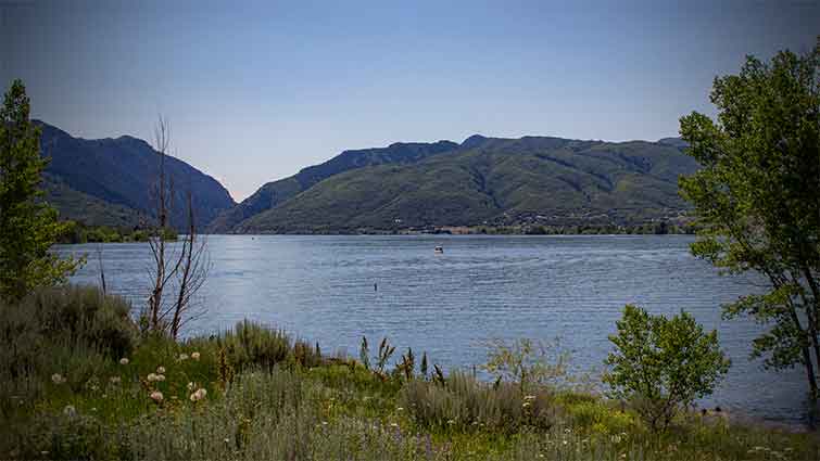 Pineview Reservoir Utah Fly Fishing