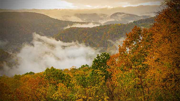 Pipestem Resort State Park West Virginia Fly Fishing