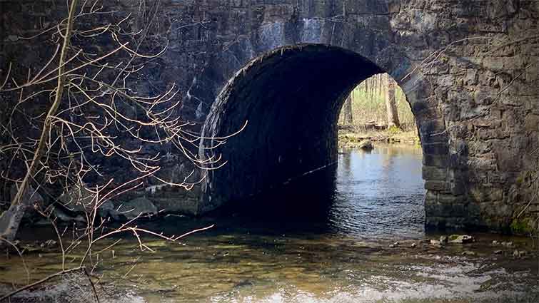 Pohatcong Creek New Jersey Fly Fishing