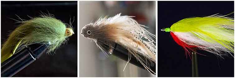 Potomac River Maryland Fly Fishing Flies