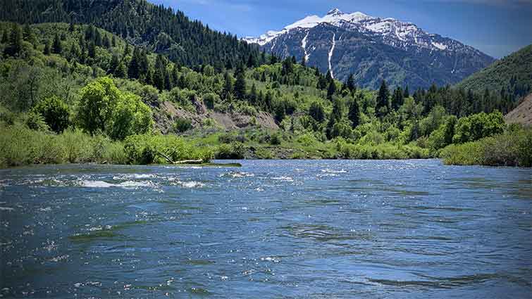 Provo River Utah Fly Fishing