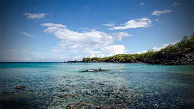 Puako Reefs Hawaii Fly Fishing