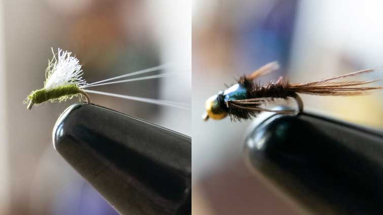 RS2 and Flashback Pheasant Tail