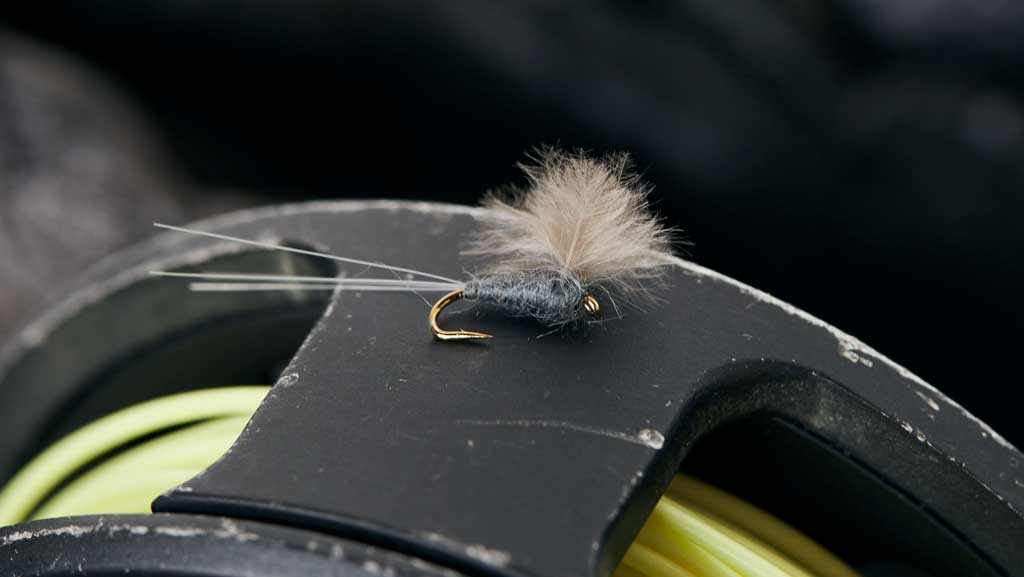 Fly Line Series: Why it is the most important component in Fly