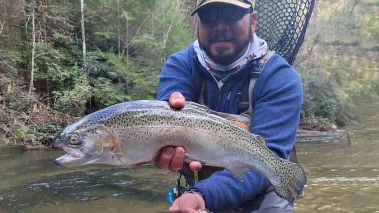 Large Trout