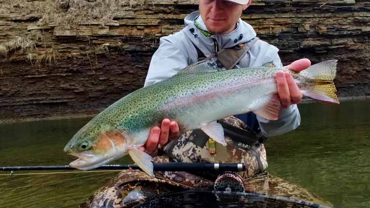 Rainbow Trout caught by Tom Doshoff from Drifthook