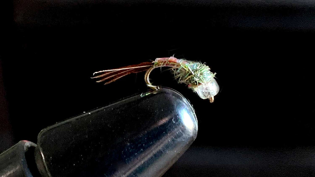 Rainbow Warrior - Best Fly Fishing Flies for Trout